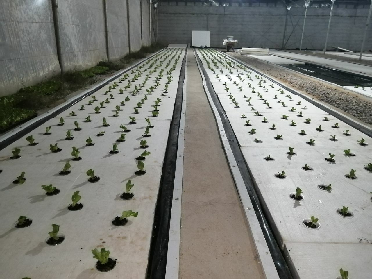 مشکلات روش گروبک